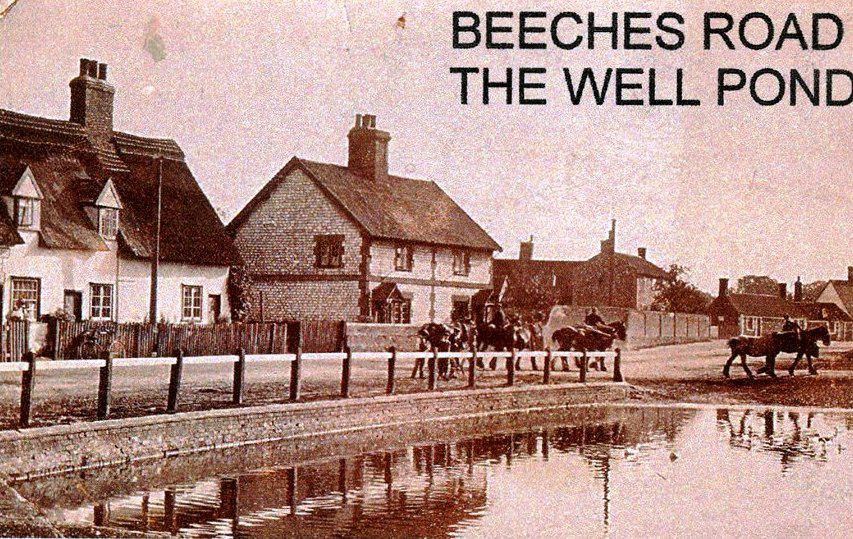 The Well Pond Beeches Road